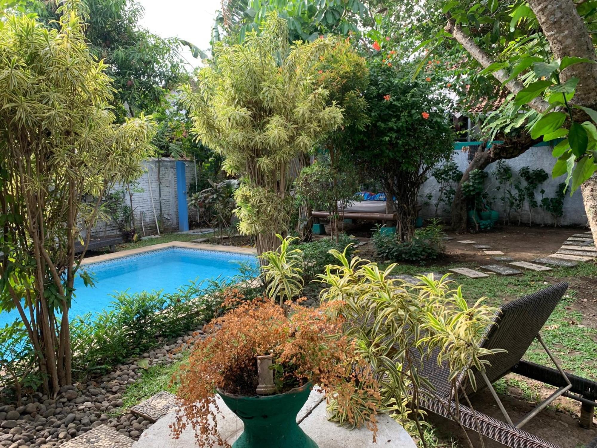 Villa Bougenville Yogyakarta Dış mekan fotoğraf